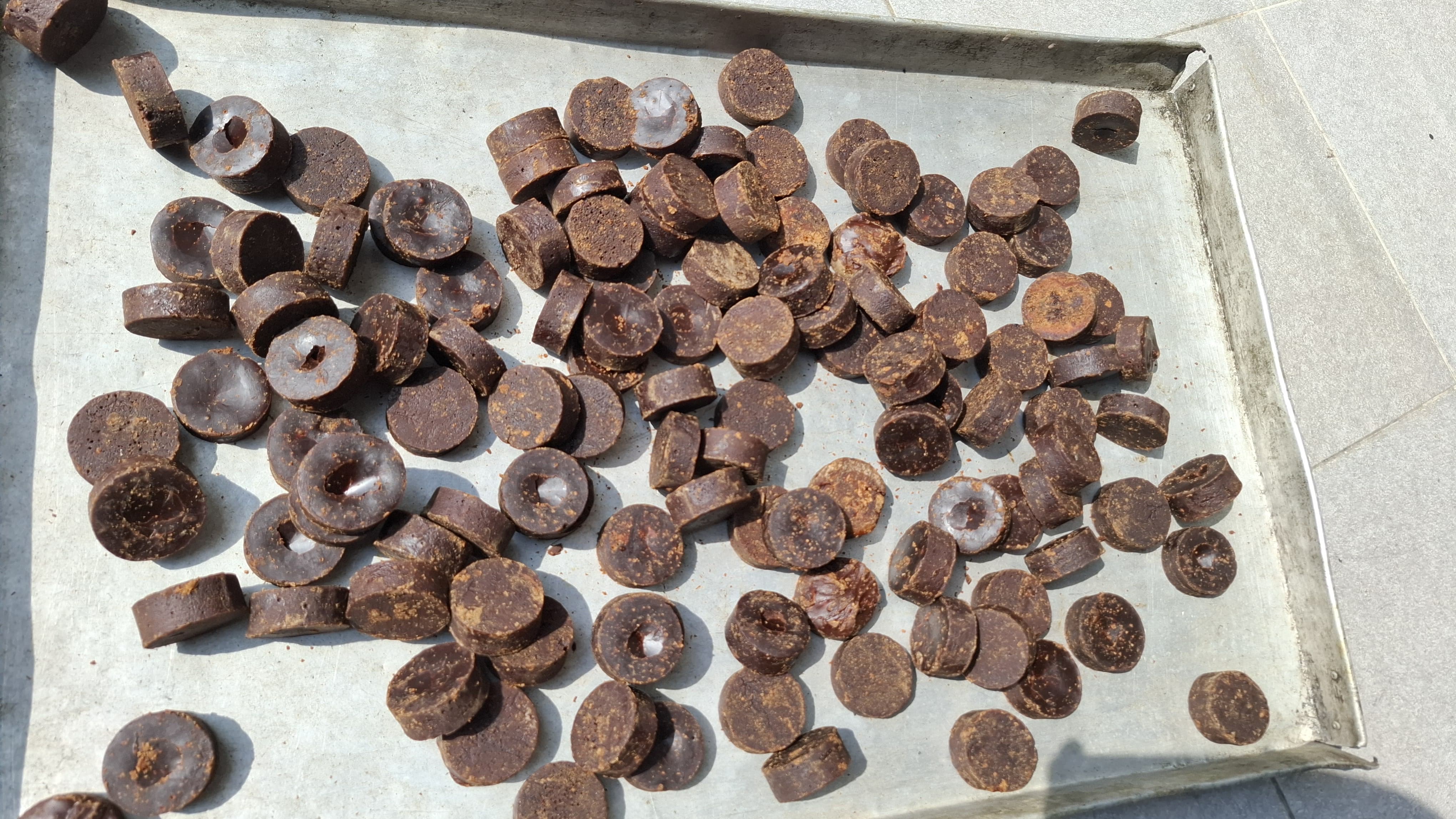 Printed Palm Sugar Coin